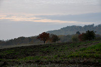 herbst11ajh-004