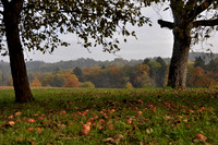 herbst11ajh-001